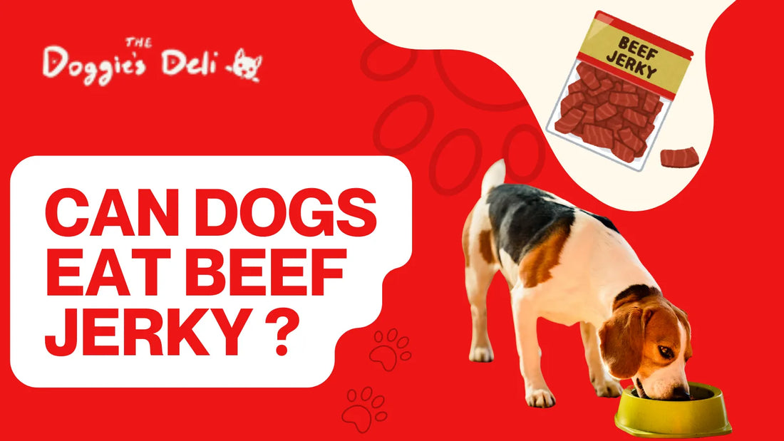 Can Dogs Eat Beef Jerky?